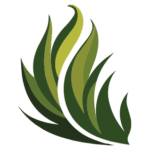 Feuille de chene digital
